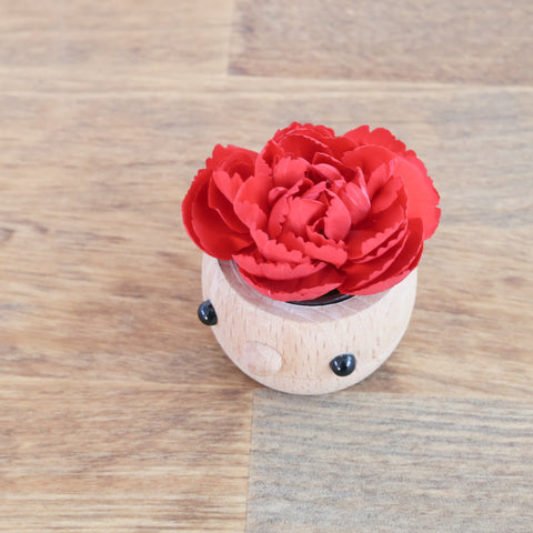 どんぐりプランター